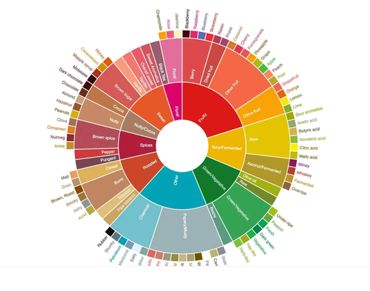 El Diccionario del Café: Análisis y uso técnico de la Rueda de Sabores