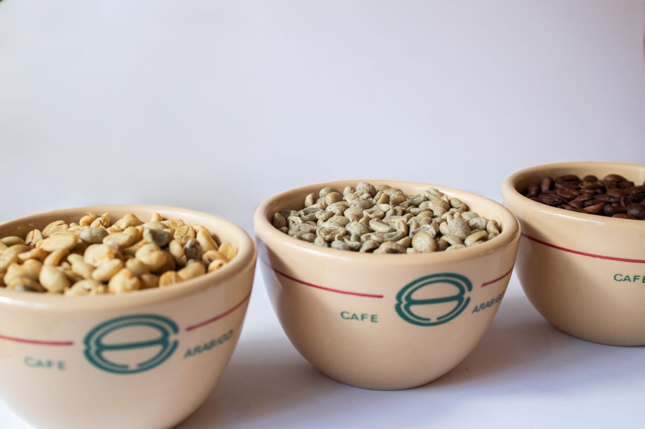 ¿Qué significa Café "Lavado"?