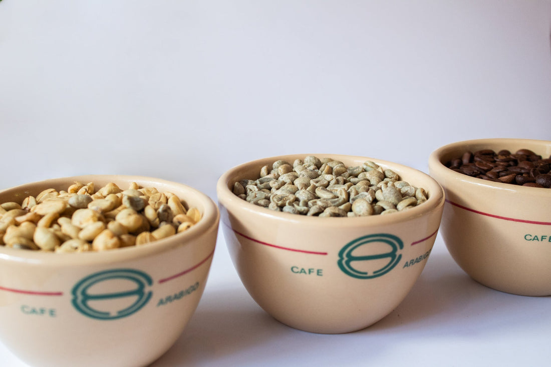 Del Cafetal a tu Taza: El Tesoro del Soconusco